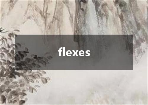 flexes是什么意思