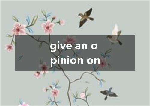 give an opinion on是什么意思