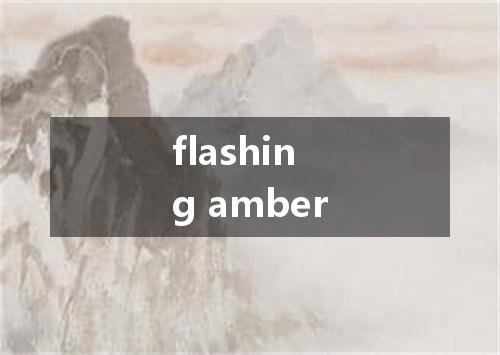 flashing amber是什么意思