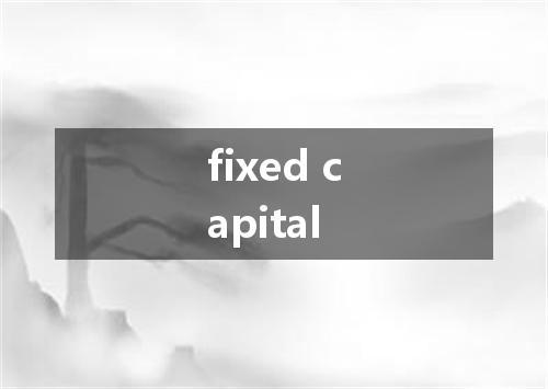 fixed capital是什么意思