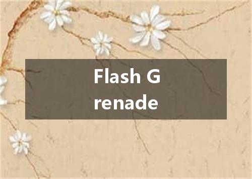 Flash Grenade是什么意思