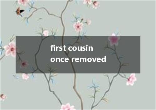 first cousin once removed是什么意思