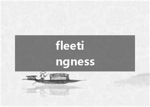 fleetingness是什么意思