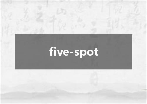 five-spot是什么意思