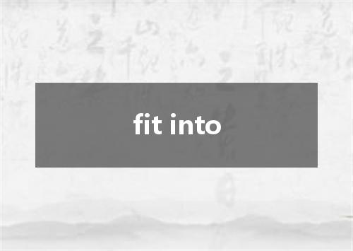 fit into是什么意思