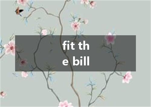 fit the bill是什么意思