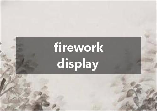 firework display是什么意思