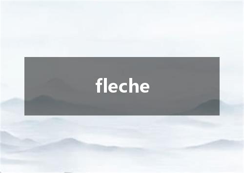 fleche是什么意思