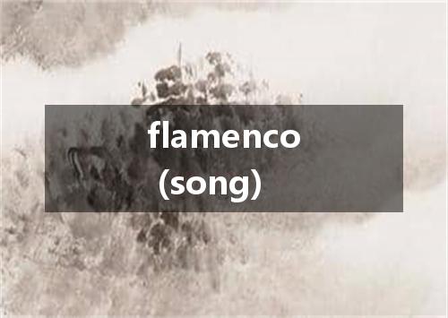 flamenco (song)是什么意思