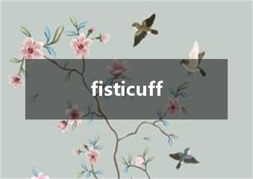 fisticuff是什么意思