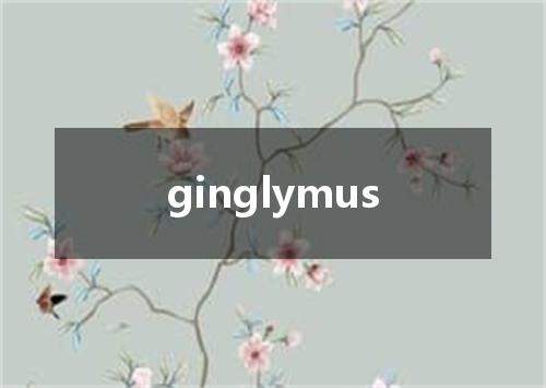 ginglymus是什么意思