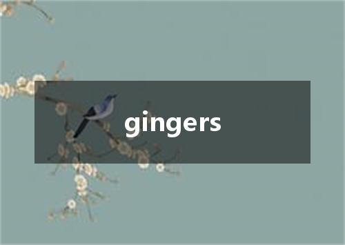 gingers是什么意思