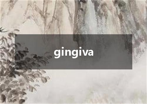 gingiva是什么意思