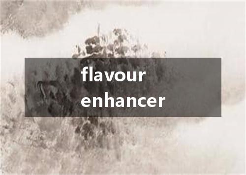 flavour enhancer是什么意思