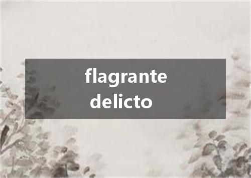 flagrante delicto是什么意思