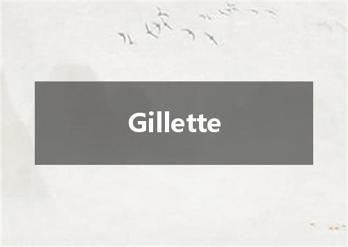 Gillette是什么意思