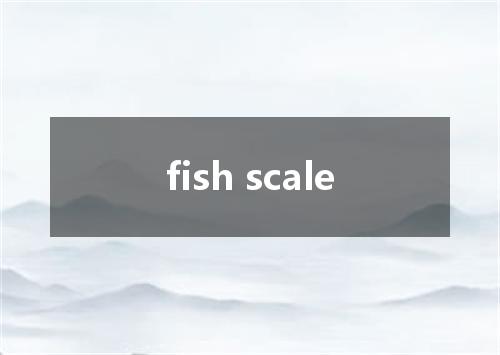 fish scale是什么意思
