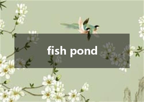 fish pond是什么意思