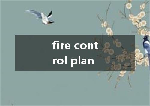 fire control plan是什么意思