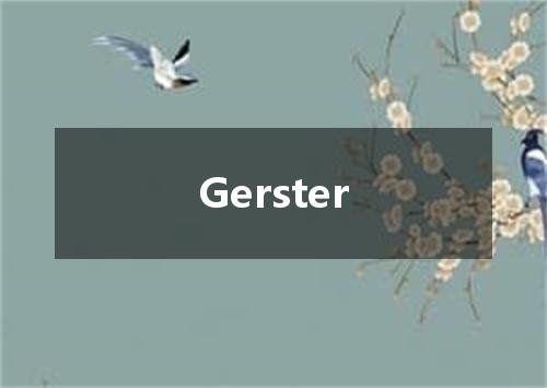 Gerster是什么意思