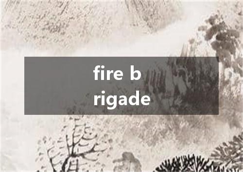 fire brigade是什么意思
