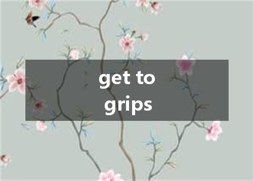get to grips是什么意思