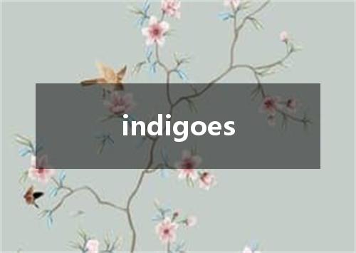indigoes是什么意思