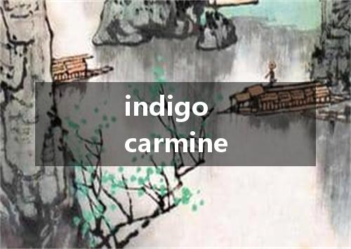 indigo carmine是什么意思