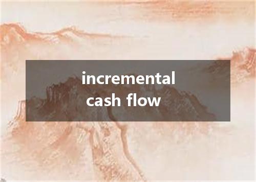 incremental cash flow是什么意思