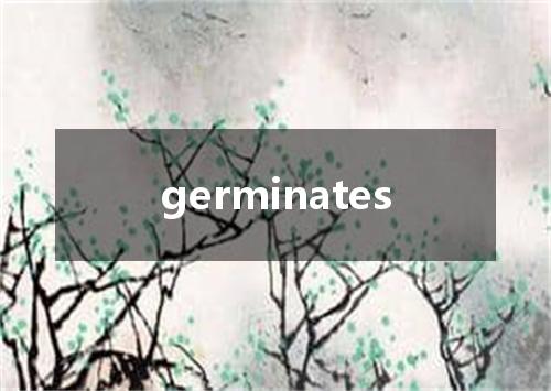germinates是什么意思