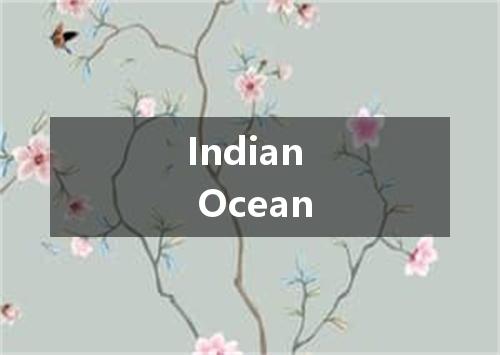 Indian Ocean是什么意思