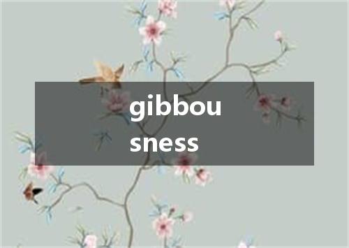 gibbousness是什么意思