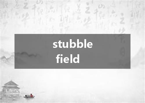 stubble field是什么意思