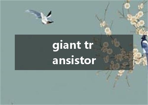 giant transistor是什么意思
