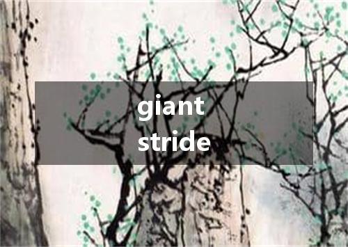 giant stride是什么意思