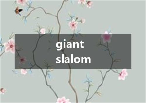 giant slalom是什么意思
