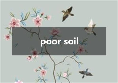 poor soil是什么意思