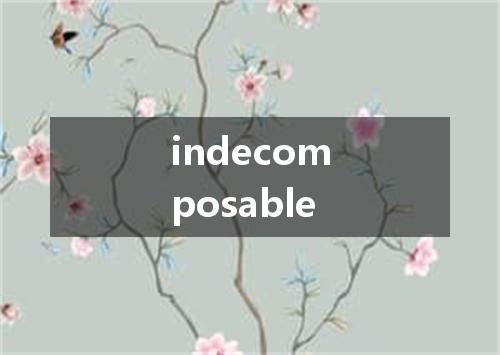 indecomposable是什么意思