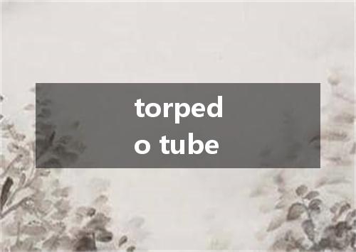 torpedo tube是什么意思