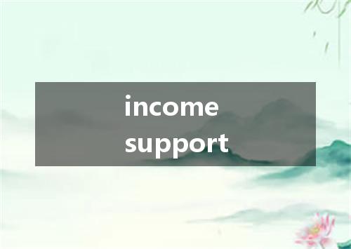 income support是什么意思