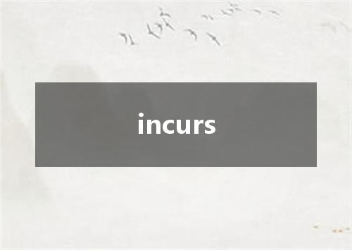 incurs是什么意思
