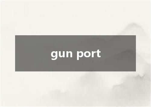 gun port是什么意思