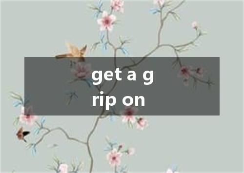 get a grip on是什么意思