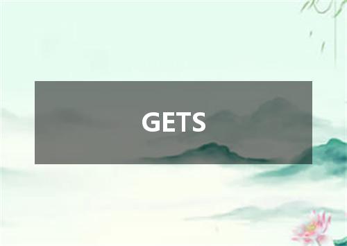 GETS是什么意思