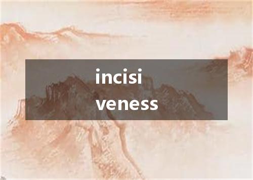 incisiveness是什么意思