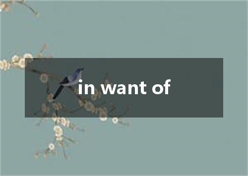 in want of是什么意思