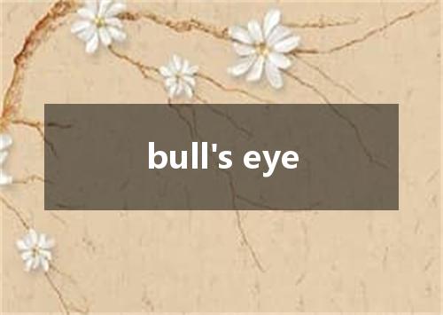 bull's eye是什么意思