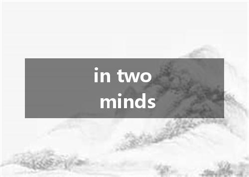 in two minds是什么意思
