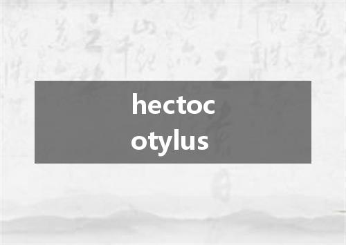 hectocotylus是什么意思