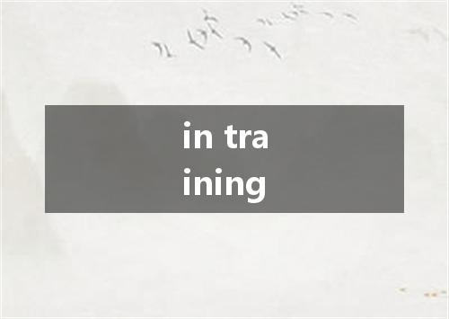 in training是什么意思